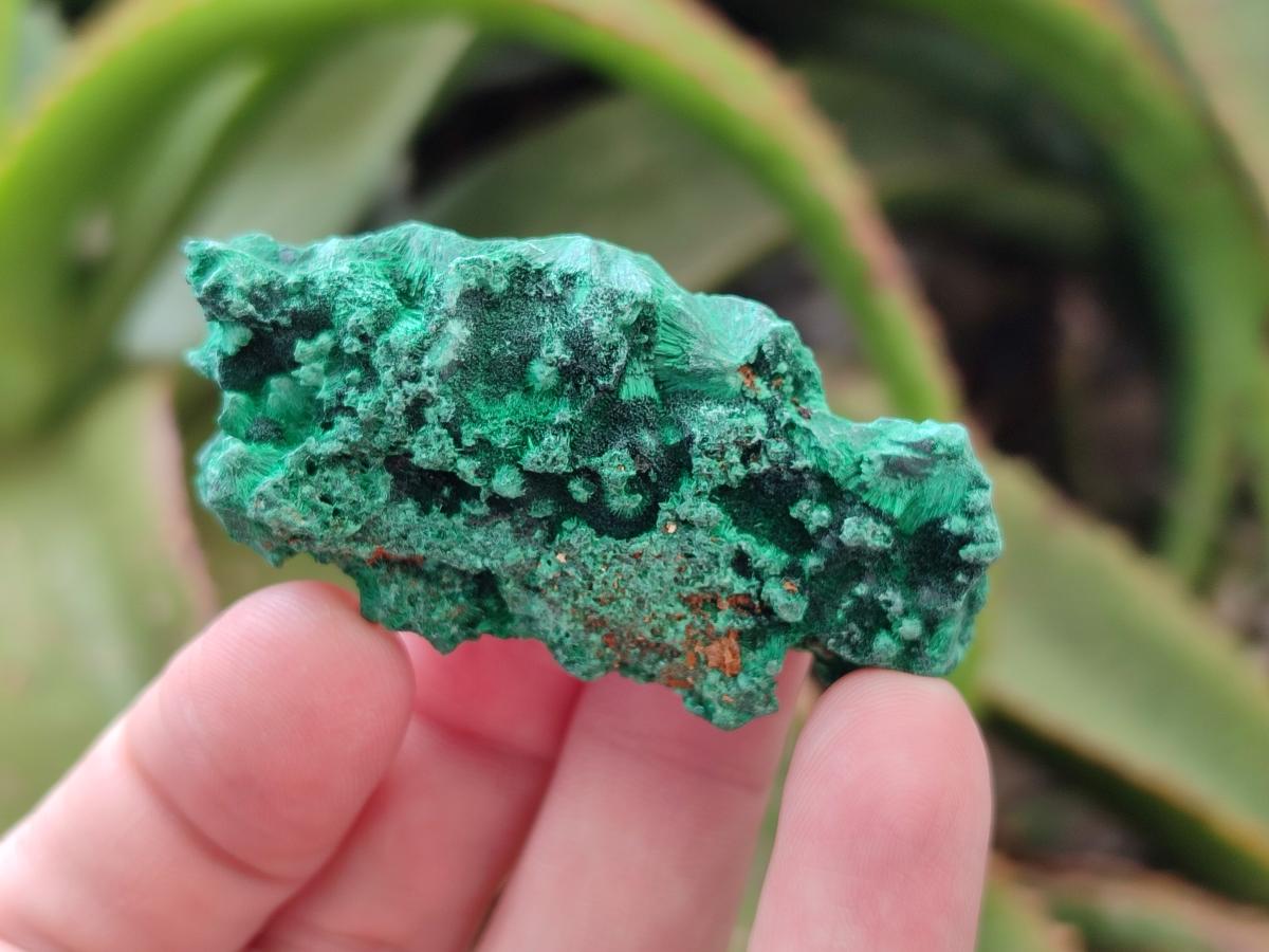 Natural Small Silky Malachite Specimens x 35 From Kasompe, Congo
