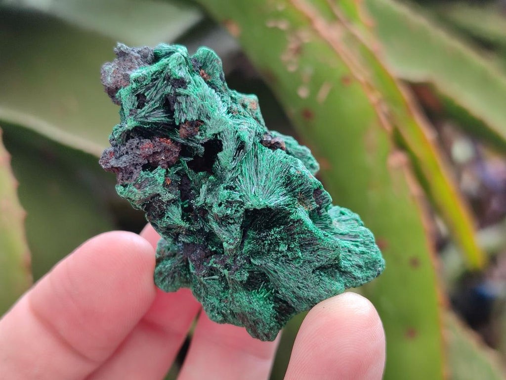 Natural Small Silky Malachite Specimens x 35 From Kasompe, Congo