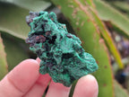 Natural Small Silky Malachite Specimens x 35 From Kasompe, Congo