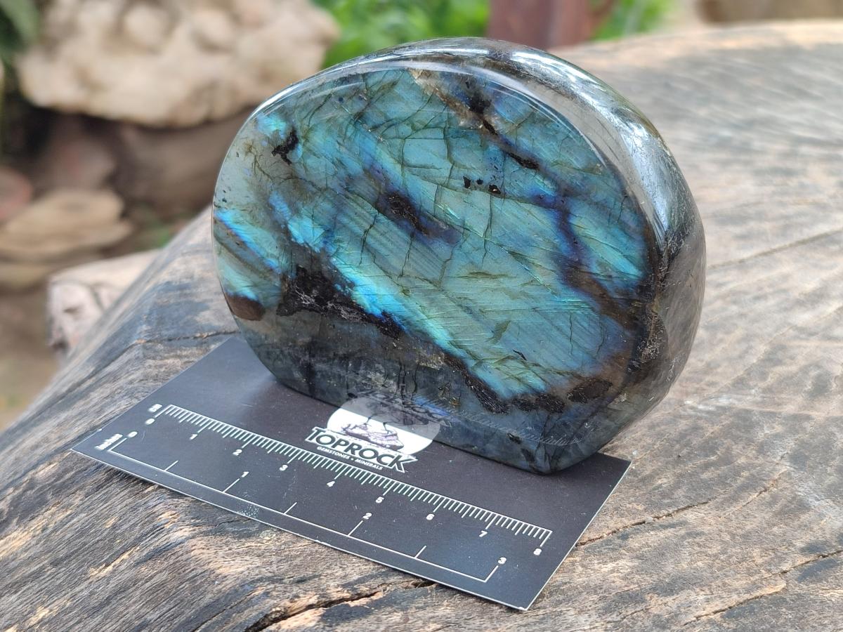 Polished Rounded Labradorite Standing Free Forms x 3 From Madagascar