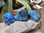 Polished Rounded Labradorite Standing Free Forms x 3 From Madagascar
