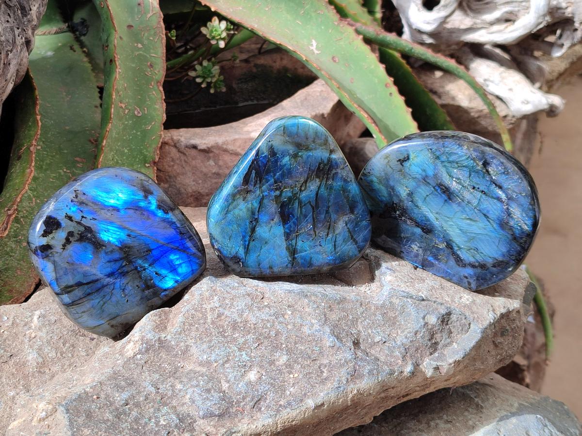 Polished Rounded Labradorite Standing Free Forms x 3 From Madagascar