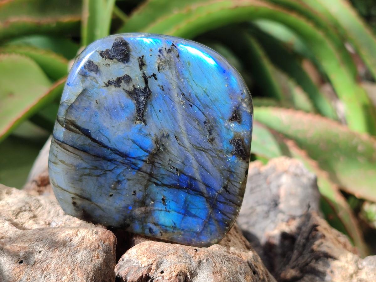 Polished Rounded Labradorite Standing Free Forms x 3 From Madagascar