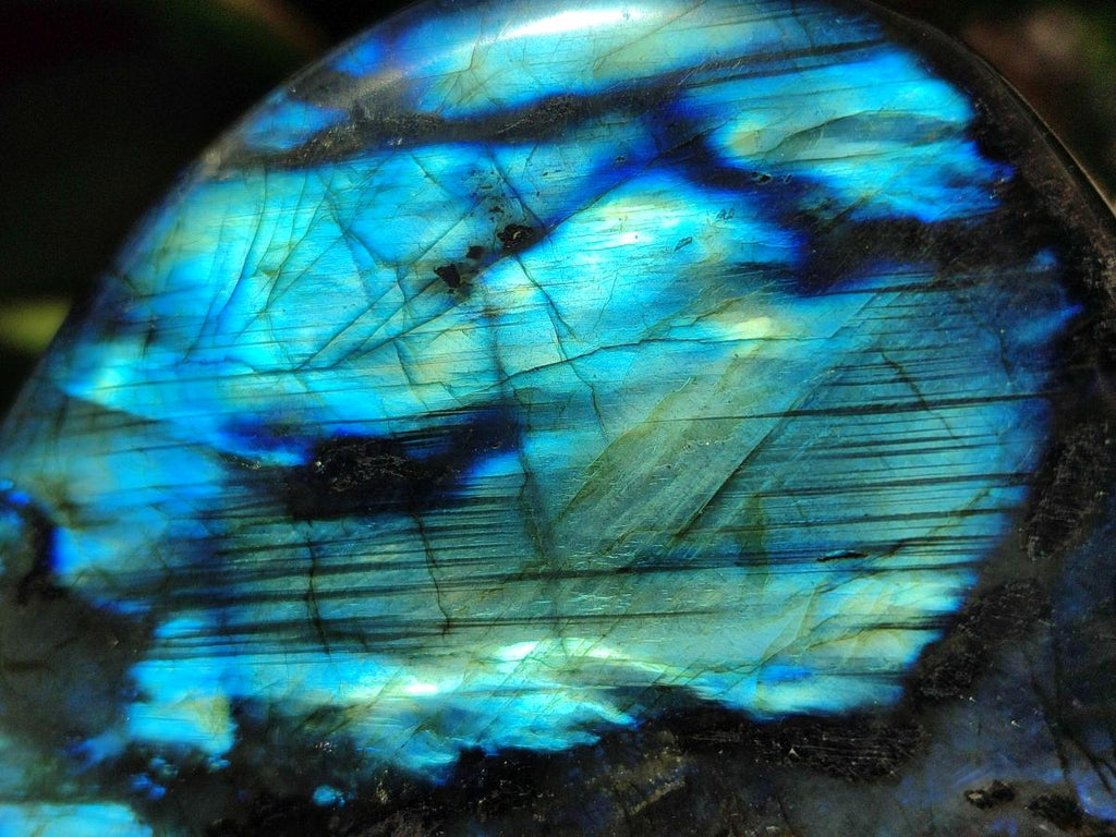 Polished Rounded Labradorite Standing Free Forms x 3 From Madagascar