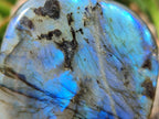 Polished Rounded Labradorite Standing Free Forms x 3 From Madagascar