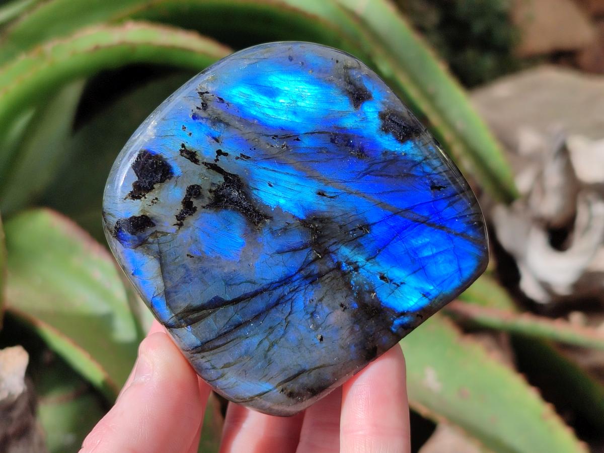 Polished Rounded Labradorite Standing Free Forms x 3 From Madagascar