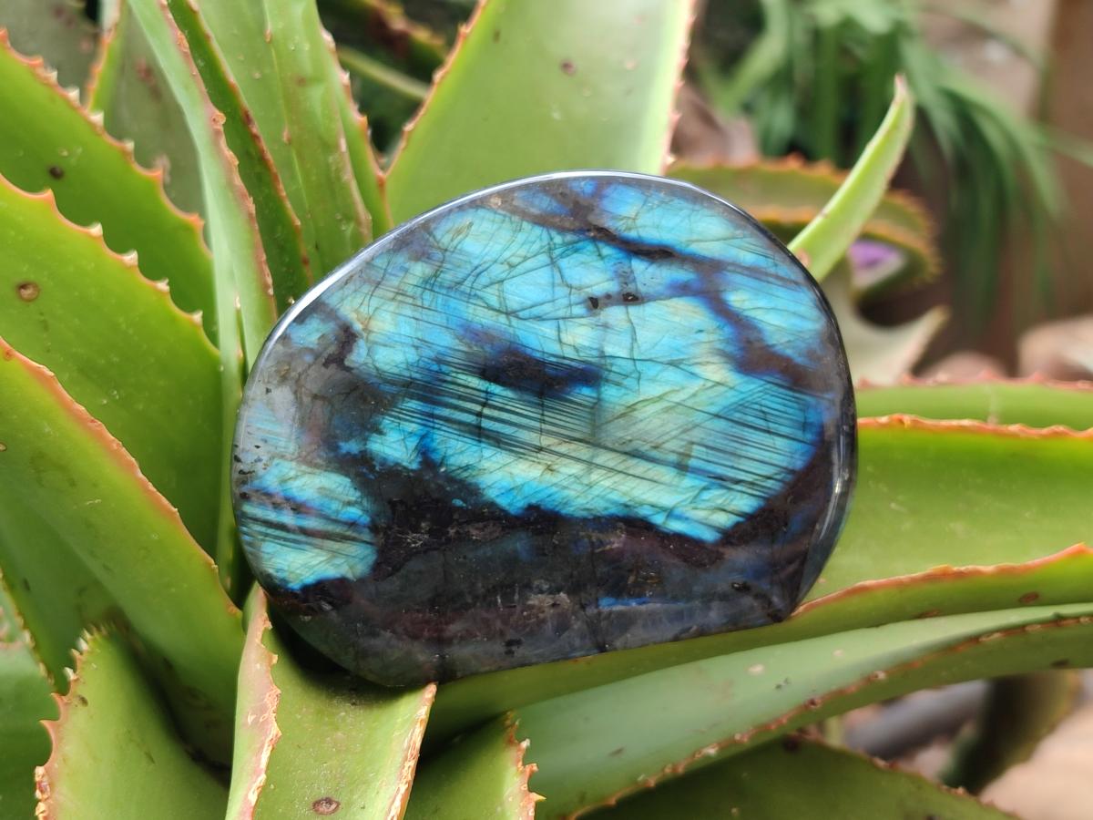 Polished Rounded Labradorite Standing Free Forms x 3 From Madagascar