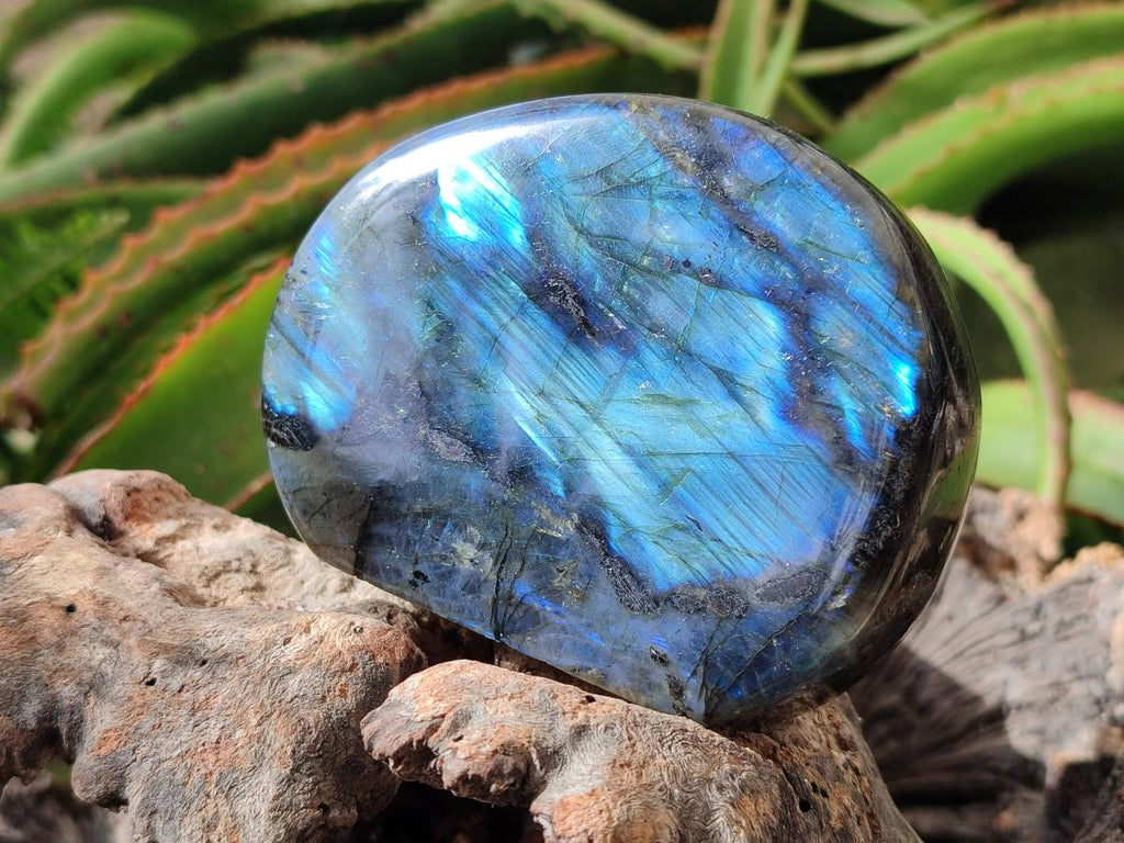 Polished Rounded Labradorite Standing Free Forms x 3 From Madagascar