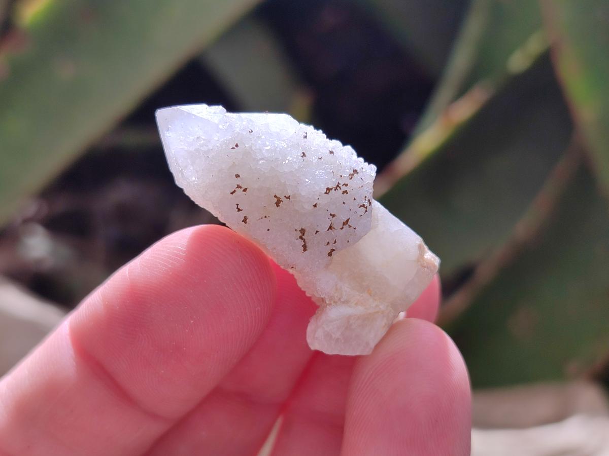 Natural White Spirit Quartz Single Crystals x 70 From Boekenhouthoek, South Africa