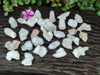 Natural White Spirit Quartz Single Crystals x 70 From Boekenhouthoek, South Africa