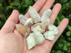Natural White Spirit Quartz Single Crystals x 70 From Boekenhouthoek, South Africa