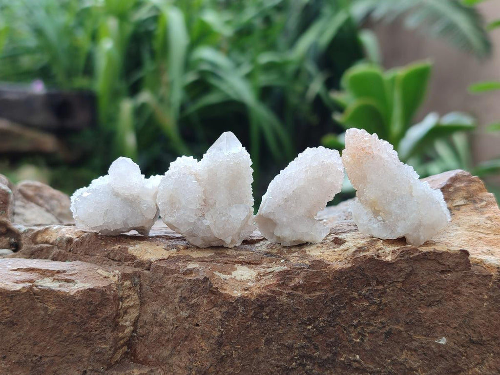 Natural White Spirit Quartz Single Crystals x 70 From Boekenhouthoek, South Africa