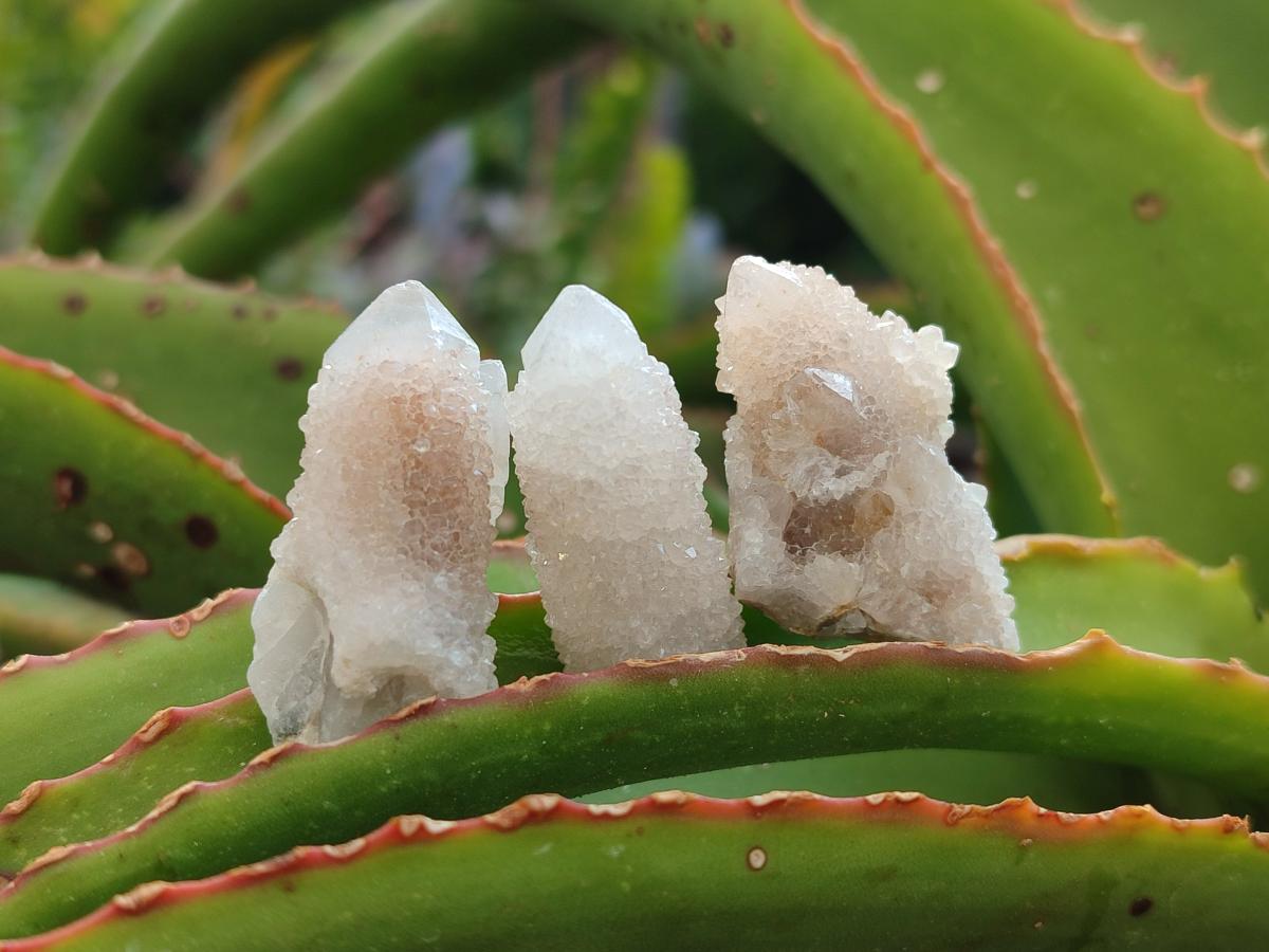 Natural White Spirit Quartz Single Crystals x 70 From Boekenhouthoek, South Africa