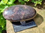 Polished Large Lepidolite Free Forms x 2 From Zimbabwe