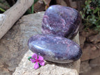 Polished Large Lepidolite Free Forms x 2 From Zimbabwe