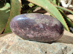Polished Large Lepidolite Free Forms x 2 From Zimbabwe