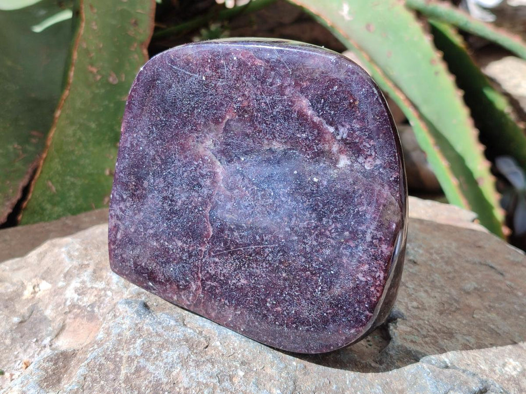 Polished Large Lepidolite Free Forms x 2 From Zimbabwe
