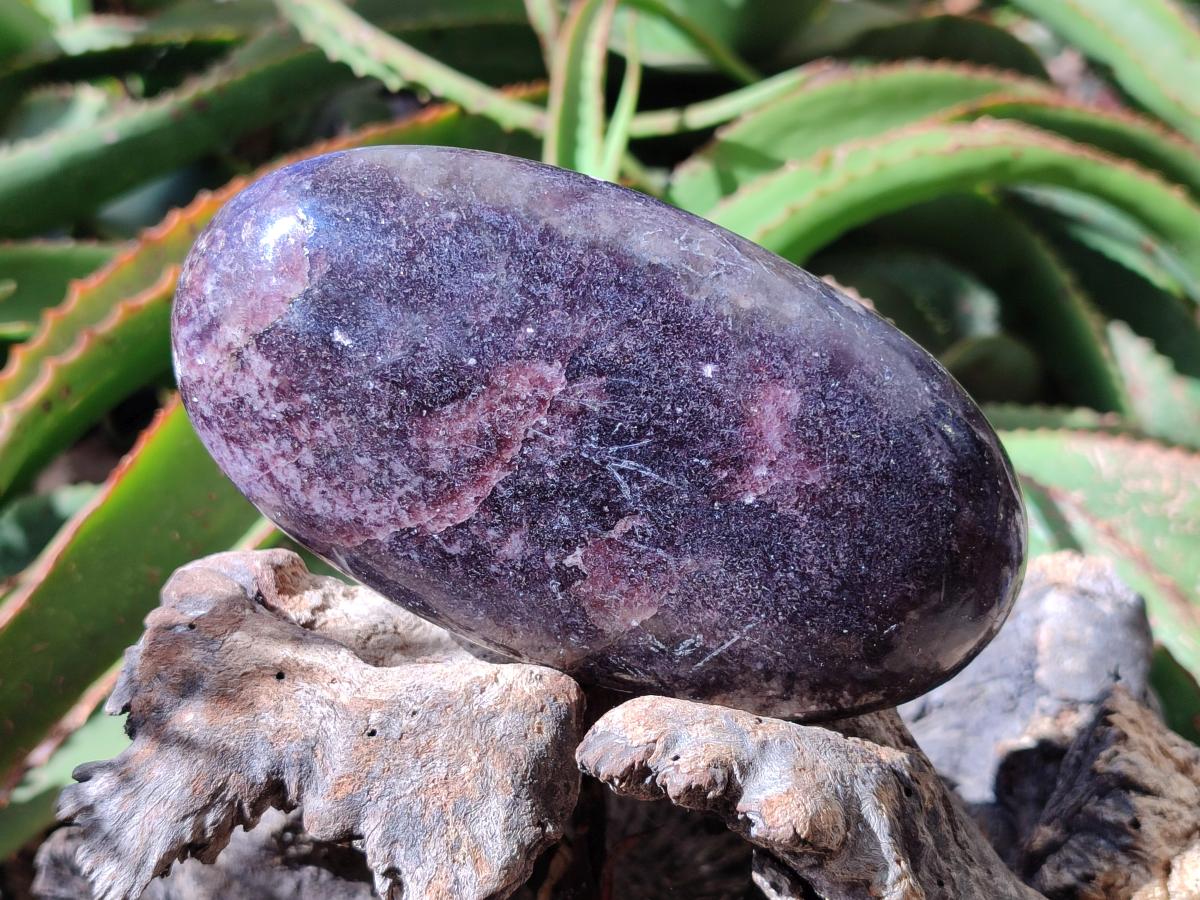 Polished Large Lepidolite Free Forms x 2 From Zimbabwe
