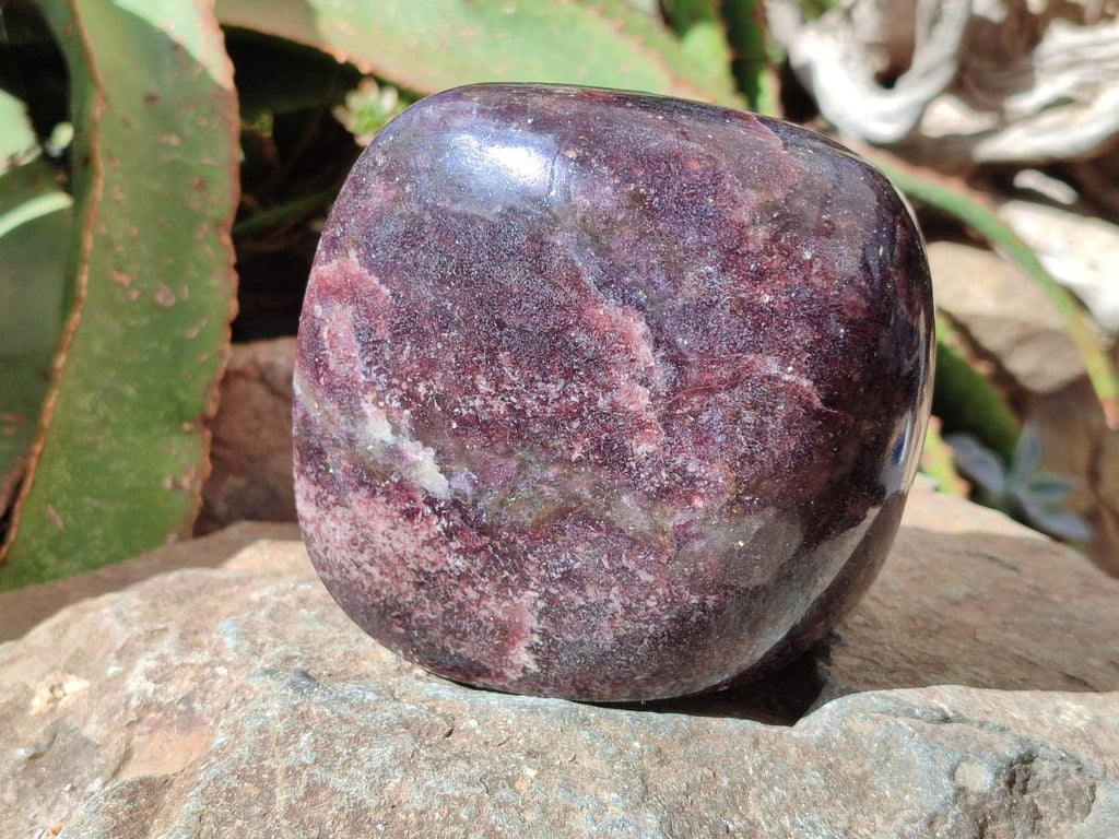 Polished Large Lepidolite Free Forms x 2 From Zimbabwe