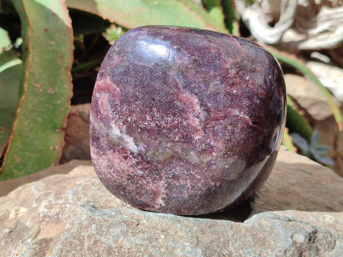 Polished Large Lepidolite Free Forms x 2 From Zimbabwe