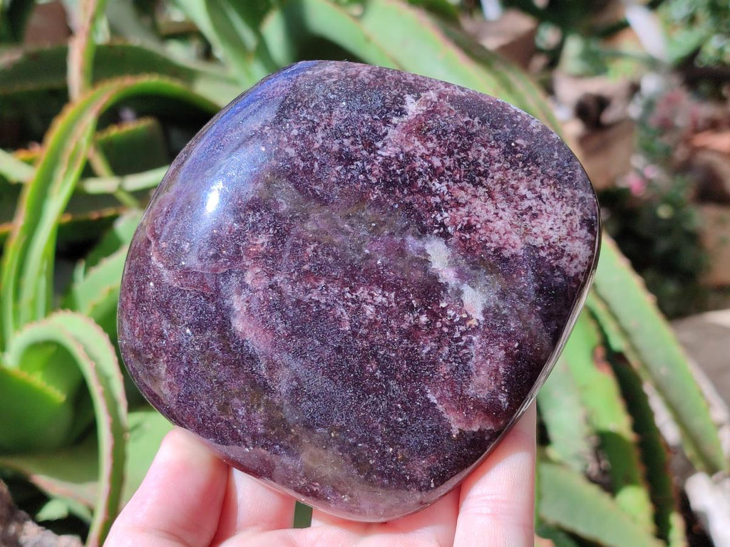 Polished Large Lepidolite Free Forms x 2 From Zimbabwe