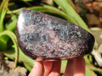 Polished Large Lepidolite Free Forms x 2 From Zimbabwe