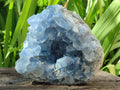 Natural Blue Celestite Cluster Specimen x 1 From Sakoany, Madagascar
