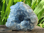 Natural Blue Celestite Cluster Specimen x 1 From Sakoany, Madagascar
