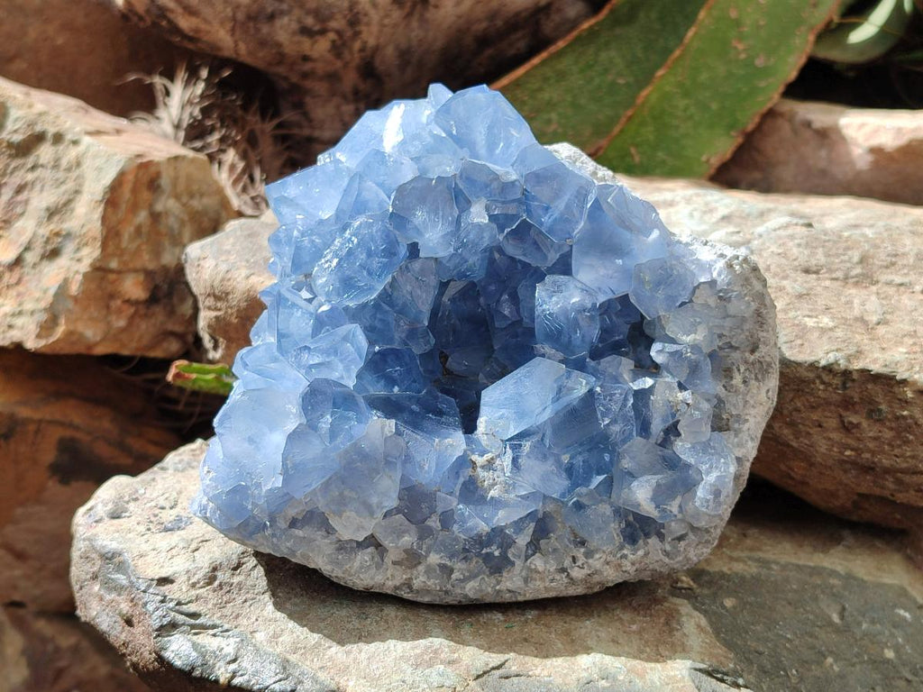 Natural Blue Celestite Cluster Specimen x 1 From Sakoany, Madagascar