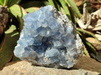 Natural Blue Celestite Cluster Specimen x 1 From Sakoany, Madagascar