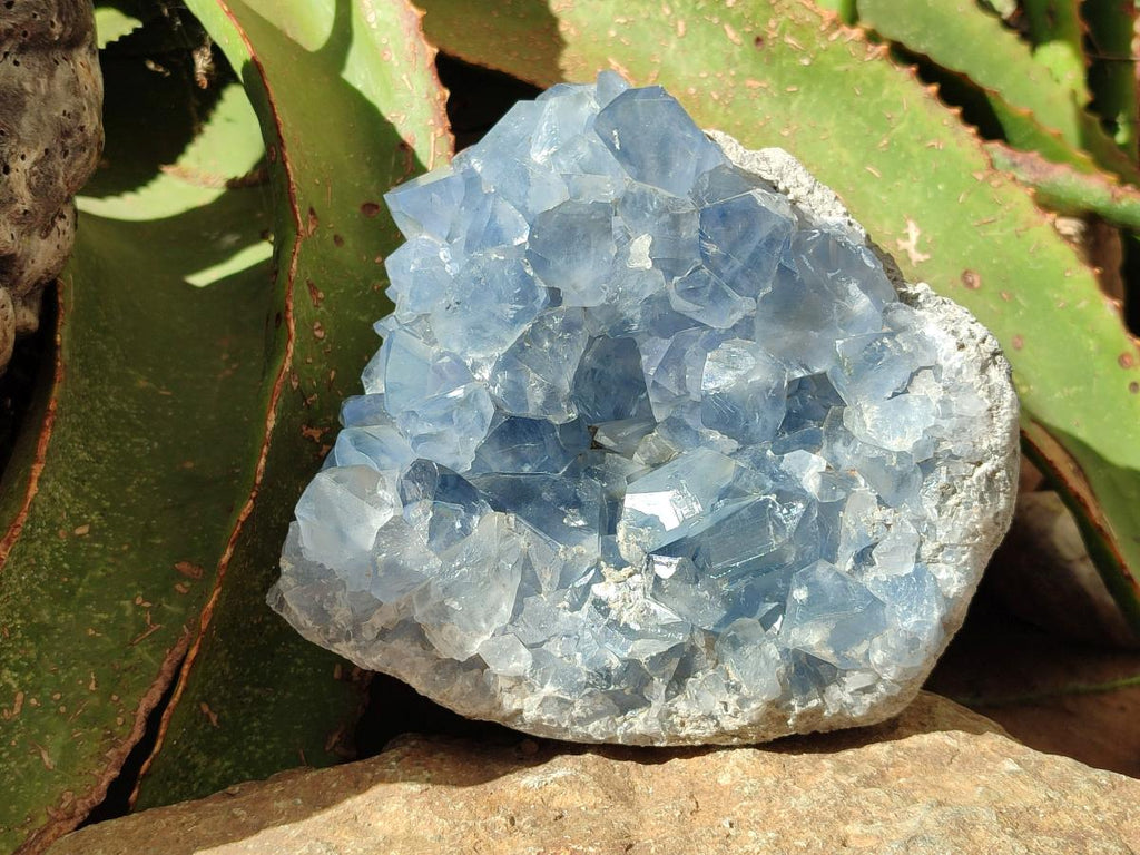 Natural Blue Celestite Cluster Specimen x 1 From Sakoany, Madagascar