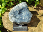 Natural Blue Celestite Cluster Specimen x 1 From Sakoany, Madagascar