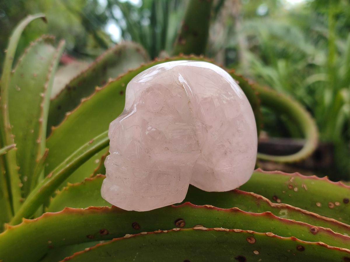Hand Made Gemmy Rose Quartz Skull Carvings x 5 From Madagascar