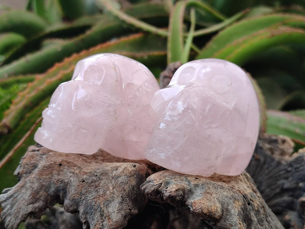 Hand Made Gemmy Rose Quartz Skull Carvings x 5 From Madagascar