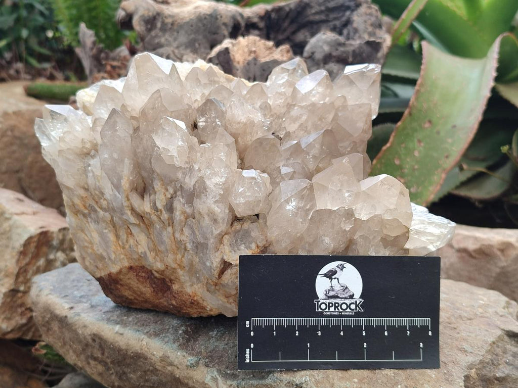 Natural Large Phantom Smokey Citrine Quartz Cluster x 1 From Luena, Congo