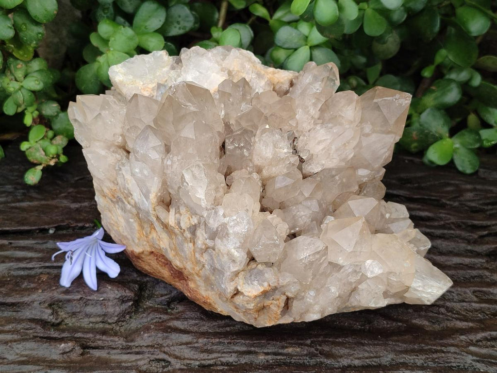 Natural Large Phantom Smokey Citrine Quartz Cluster x 1 From Luena, Congo