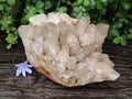 Natural Large Phantom Smokey Citrine Quartz Cluster x 1 From Luena, Congo