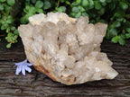 Natural Large Phantom Smokey Citrine Quartz Cluster x 1 From Luena, Congo