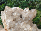 Natural Large Phantom Smokey Citrine Quartz Cluster x 1 From Luena, Congo