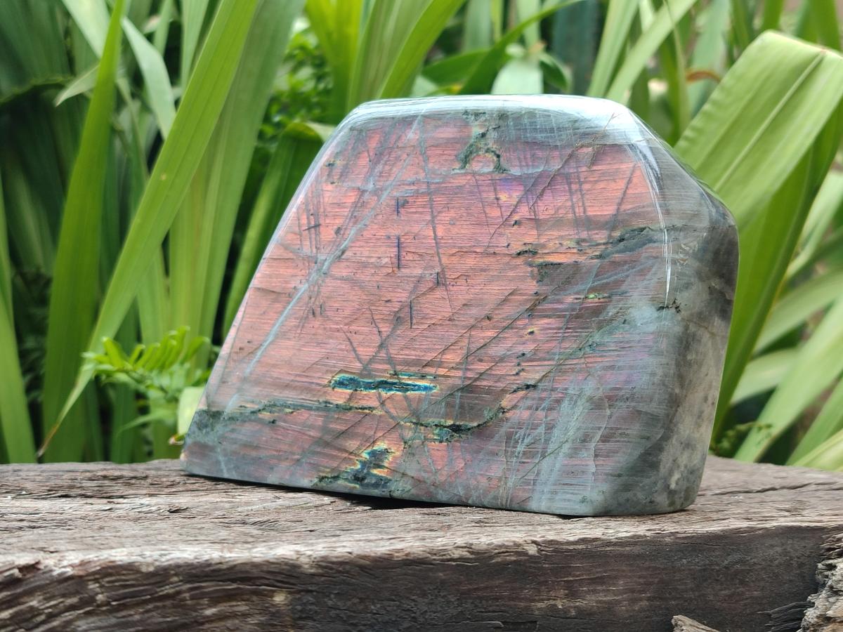 Polished Large Rare Purple Sunset Flash Labradorite Standing Free Form x 1 From Madagascar