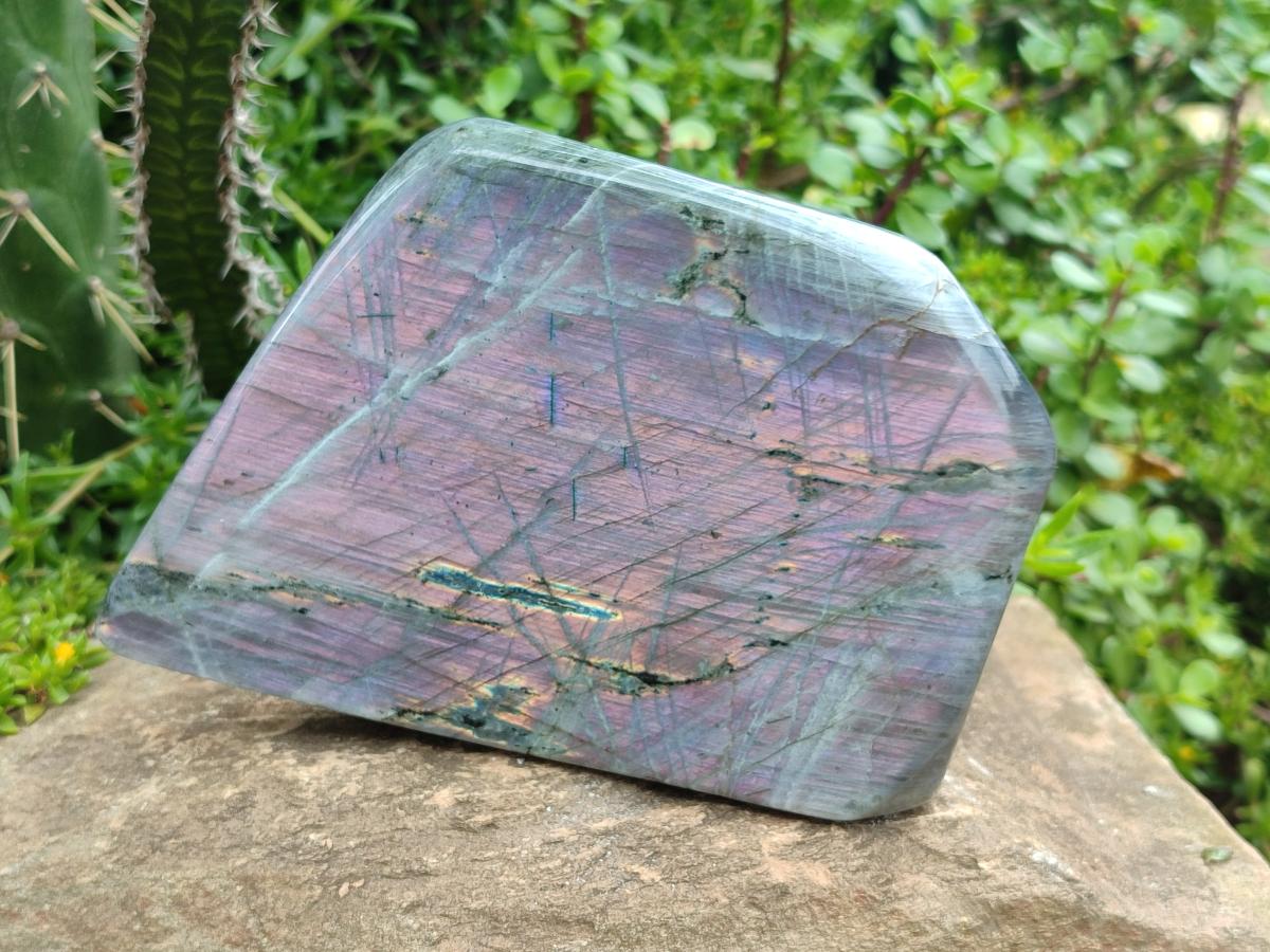 Polished Large Rare Purple Sunset Flash Labradorite Standing Free Form x 1 From Madagascar