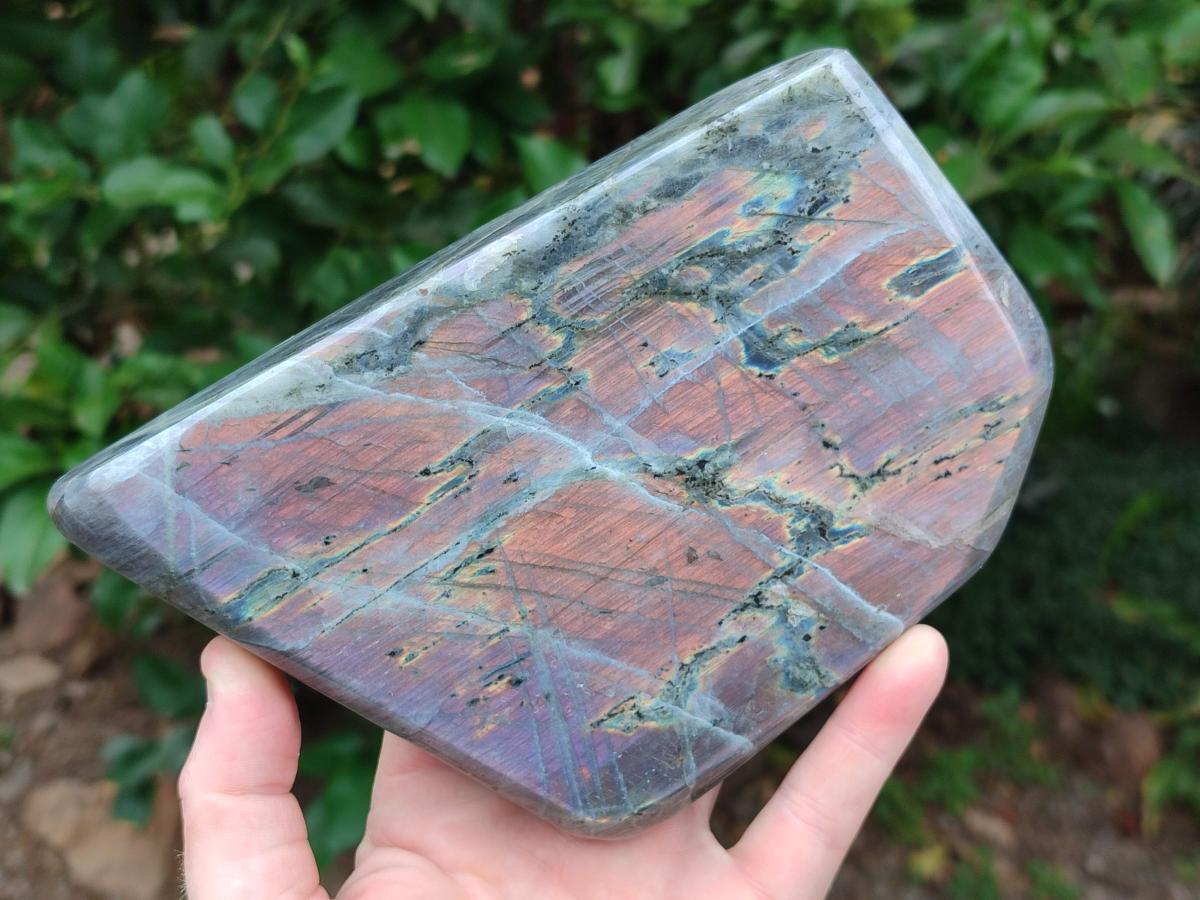 Polished Large Rare Purple Sunset Flash Labradorite Standing Free Form x 1 From Madagascar