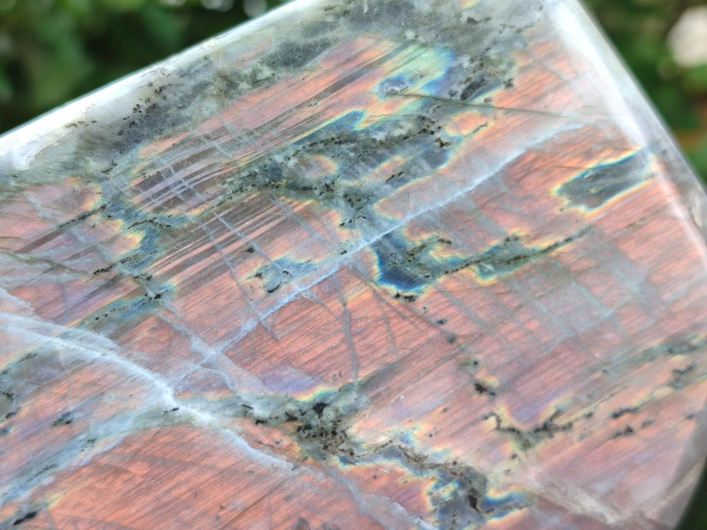 Polished Large Rare Purple Sunset Flash Labradorite Standing Free Form x 1 From Madagascar