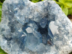 Natural Blue Celestite Geode Cluster Specimens x 2 From Sakoany, Madagascar