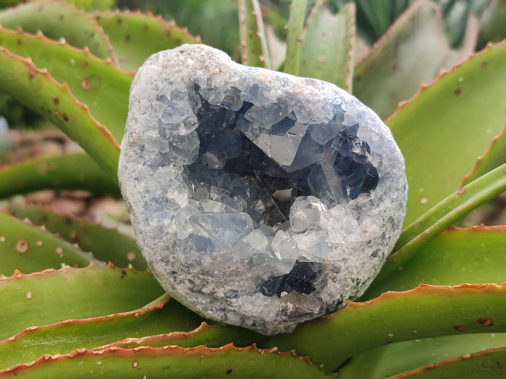 Natural Blue Celestite Geode Cluster Specimens x 2 From Sakoany, Madagascar