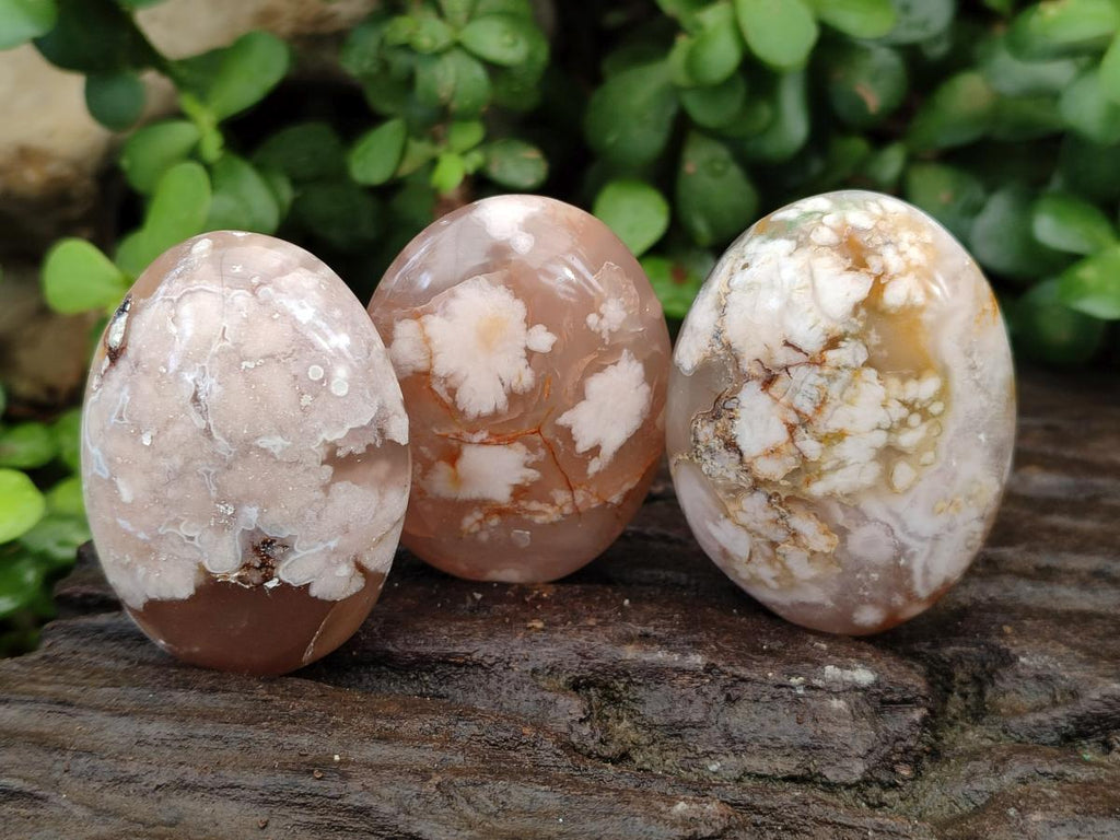 Polished Flower Agate Palm Stones x 12 From Antsahalova, Madagascar - Toprock Gemstones and Minerals 
