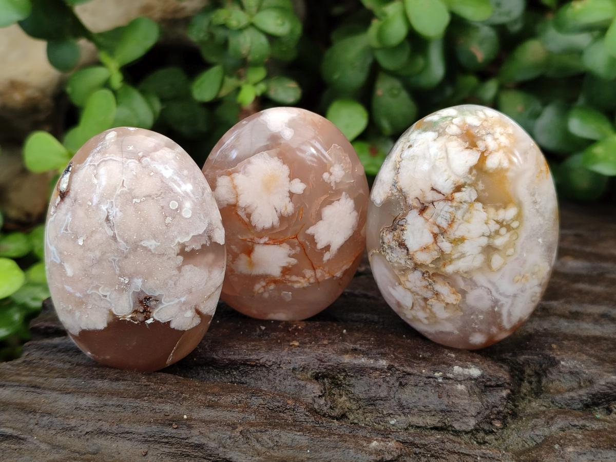 Polished Flower Agate Palm Stones x 12 From Antsahalova, Madagascar - Toprock Gemstones and Minerals 