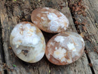 Polished Flower Agate Palm Stones x 12 From Antsahalova, Madagascar - Toprock Gemstones and Minerals 