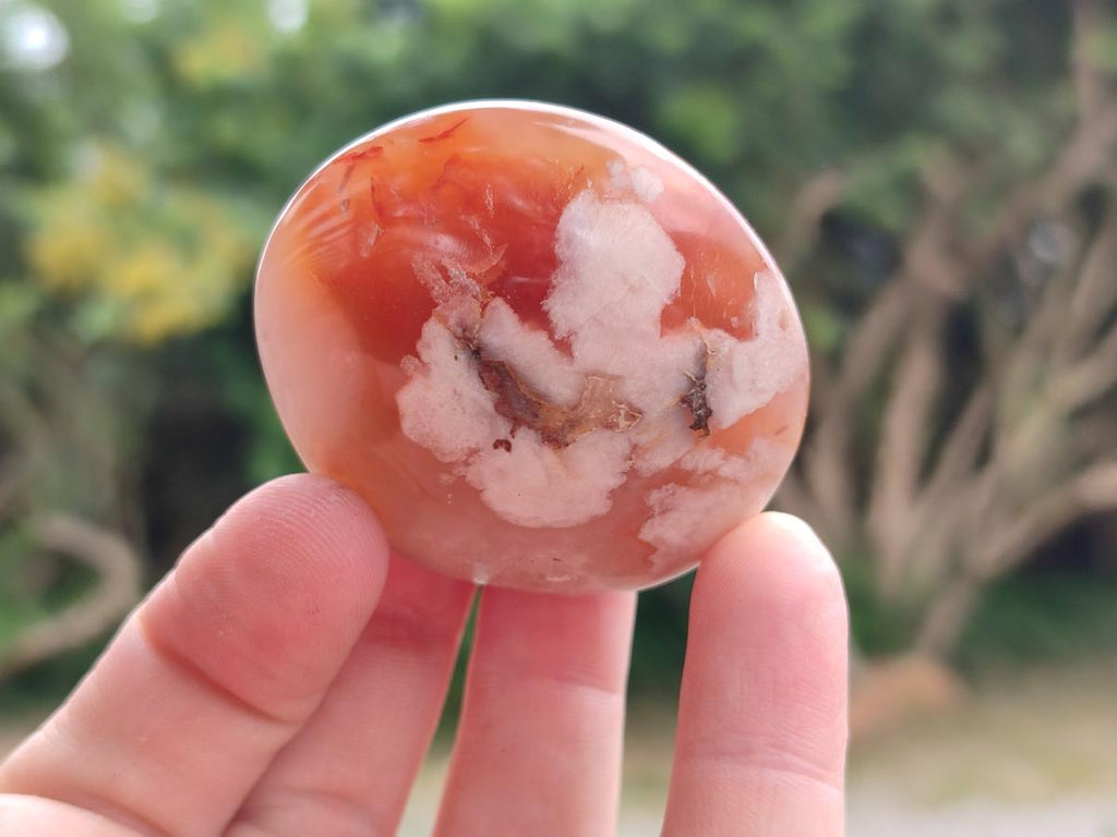 Polished Flower Agate Palm Stones x 12 From Antsahalova, Madagascar - Toprock Gemstones and Minerals 