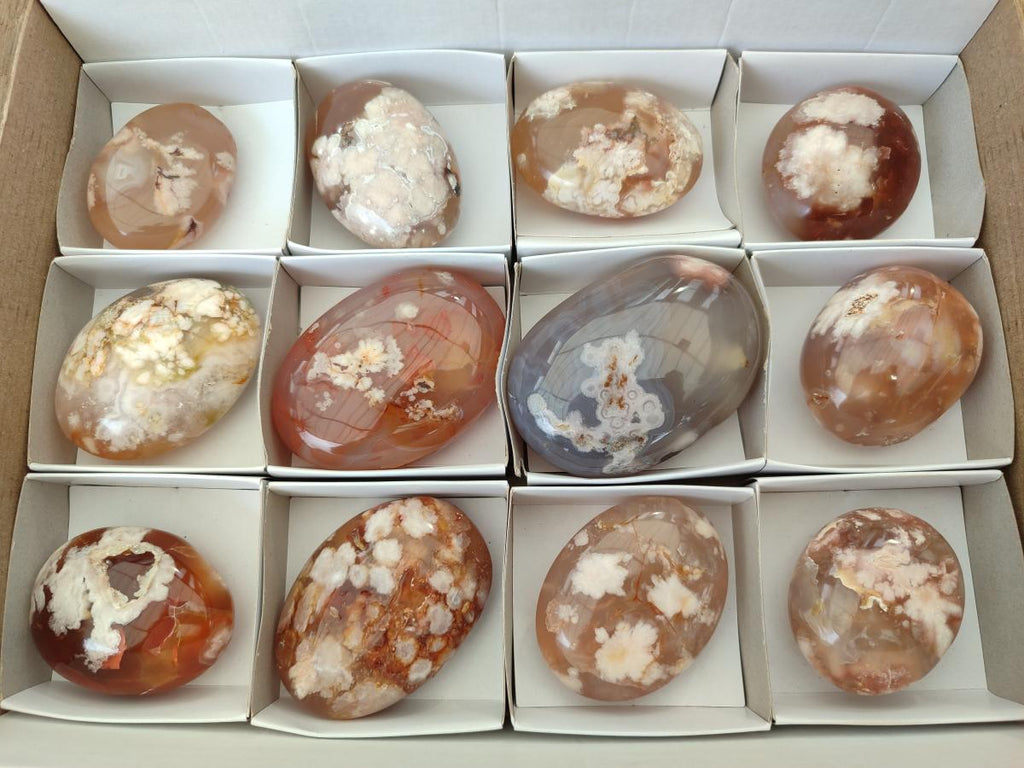 Polished Flower Agate Palm Stones x 12 From Antsahalova, Madagascar - Toprock Gemstones and Minerals 
